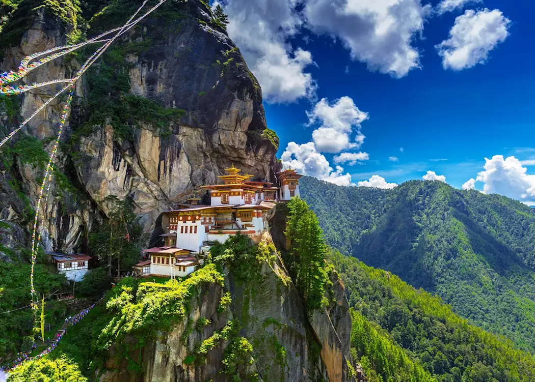 Tiger Nest